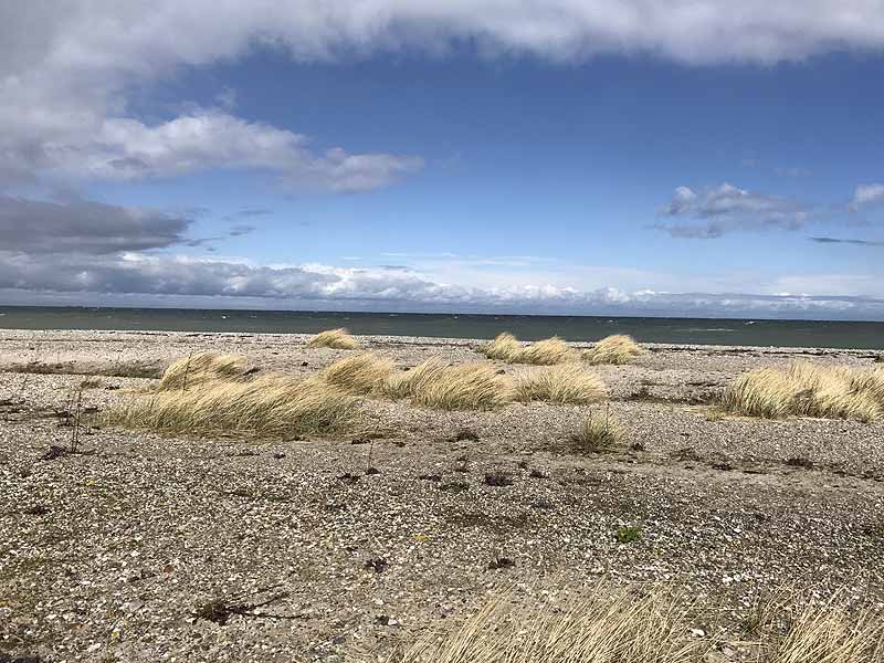 Ostseestrand bei Westermarkelsdorf (Fehmarn, Schleswig-Holstein)