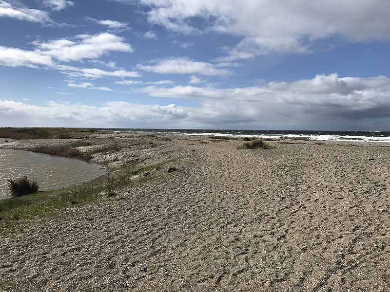 Ostseestrand bei Westermarkelsdorf (Fehmarn, Schleswig-Holstein)