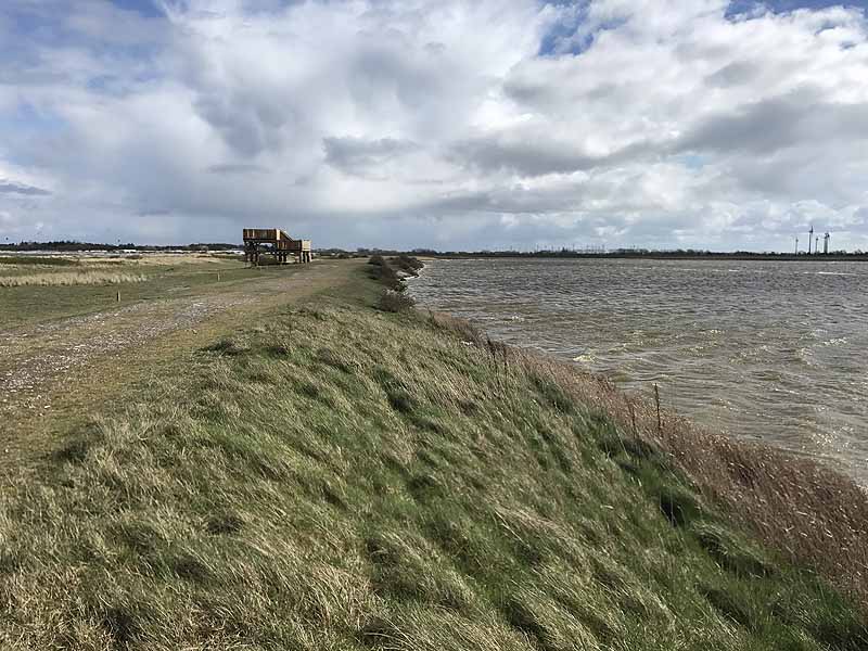 Ostseestrand bei Westermarkelsdorf (Fehmarn, Schleswig-Holstein)