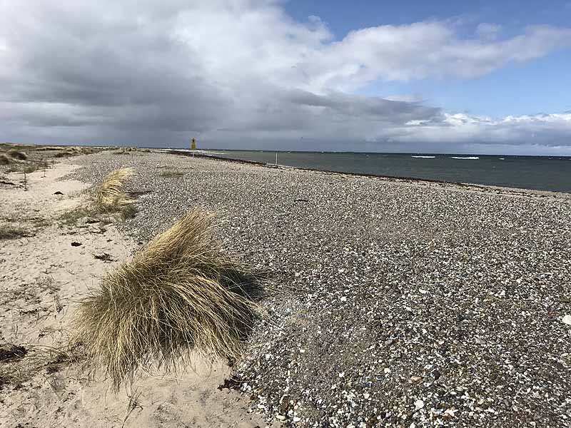 Ostseestrand bei Westermarkelsdorf (Fehmarn, Schleswig-Holstein)