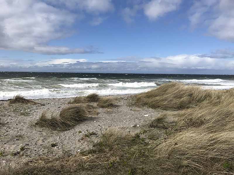 Ostseestrand bei Westermarkelsdorf (Fehmarn, Schleswig-Holstein)