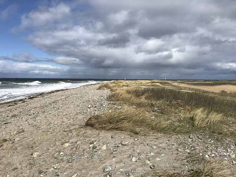 Ostseestrand bei Westermarkelsdorf (Fehmarn, Schleswig-Holstein)