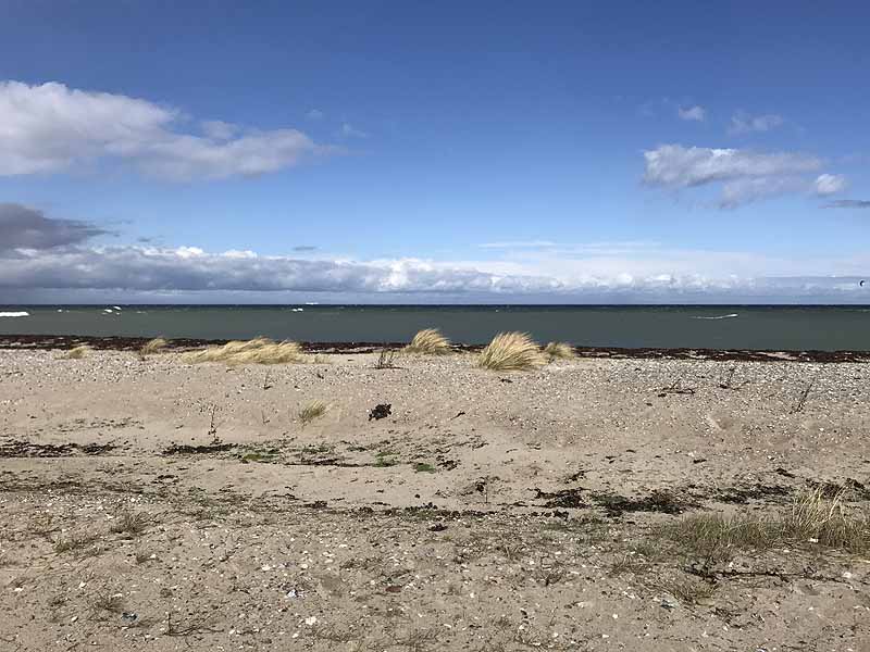 Ostseestrand bei Westermarkelsdorf (Fehmarn, Schleswig-Holstein)