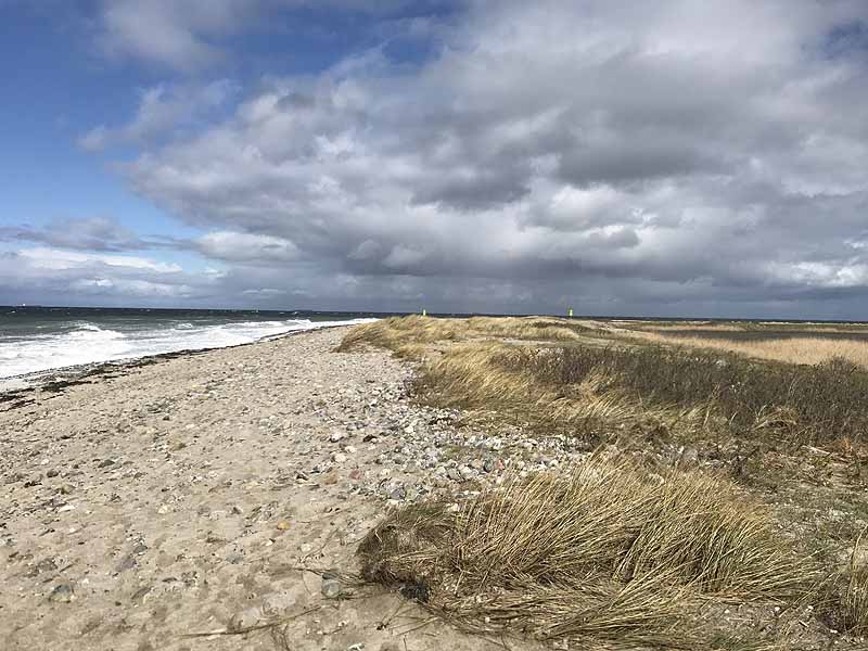 Ostseestrand bei Westermarkelsdorf (Fehmarn, Schleswig-Holstein)
