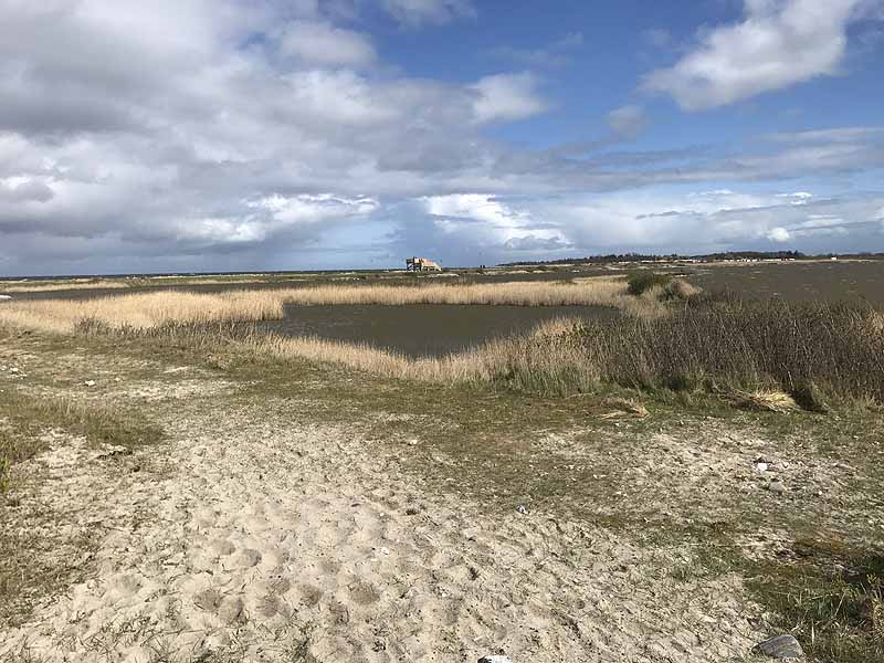 Ostseestrand bei Westermarkelsdorf (Fehmarn, Schleswig-Holstein)