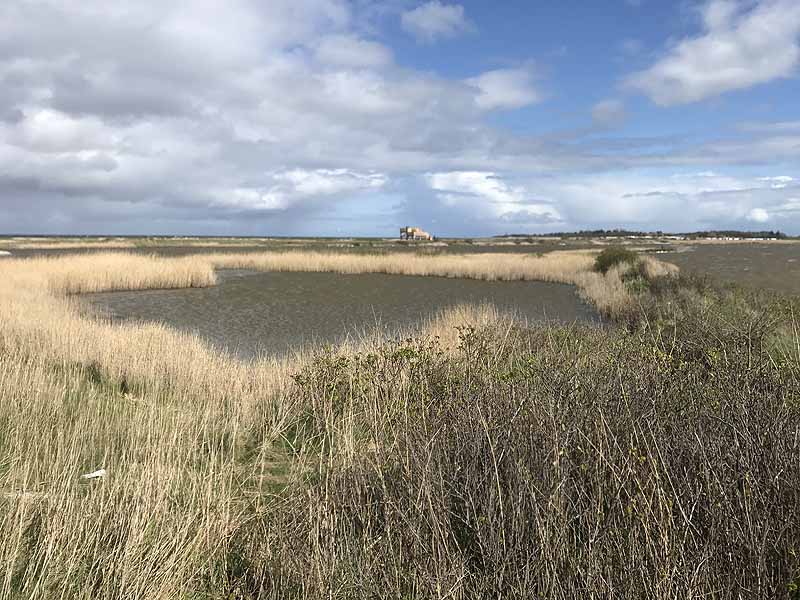 Ostseestrand bei Westermarkelsdorf (Fehmarn, Schleswig-Holstein)