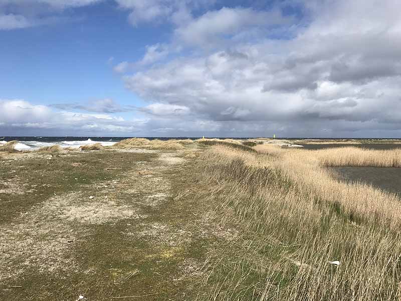 Ostseestrand bei Westermarkelsdorf (Fehmarn, Schleswig-Holstein)