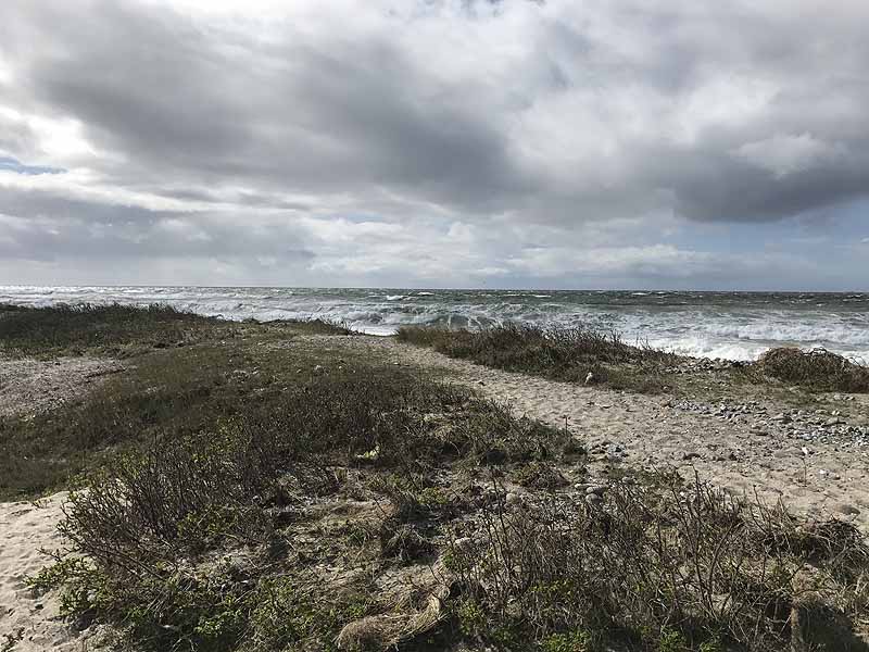 Ostseestrand bei Westermarkelsdorf (Fehmarn, Schleswig-Holstein)
