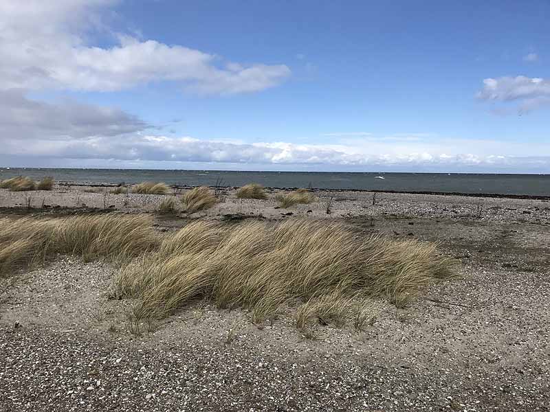Ostseestrand bei Westermarkelsdorf (Fehmarn, Schleswig-Holstein)