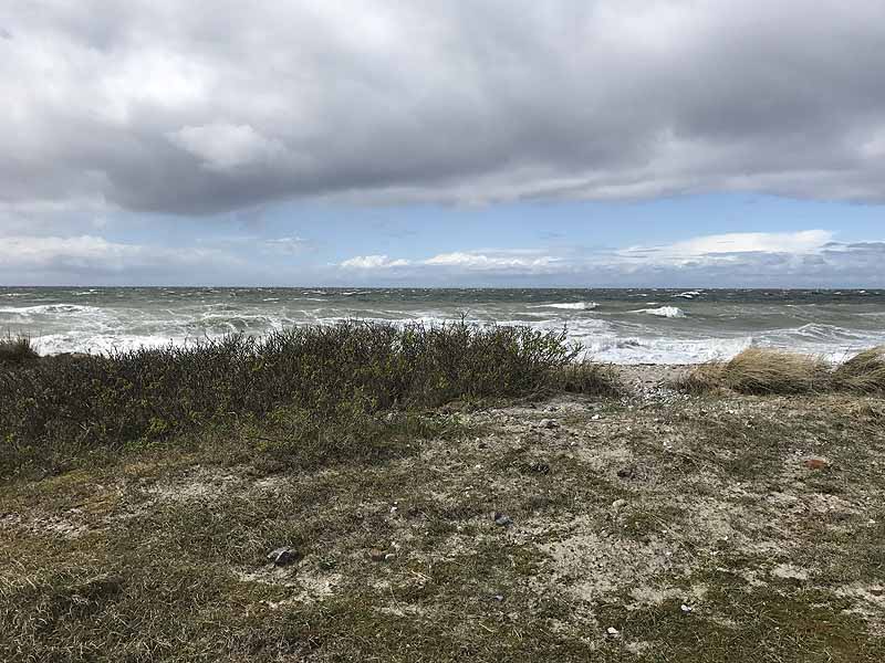 Ostseestrand bei Westermarkelsdorf (Fehmarn, Schleswig-Holstein)