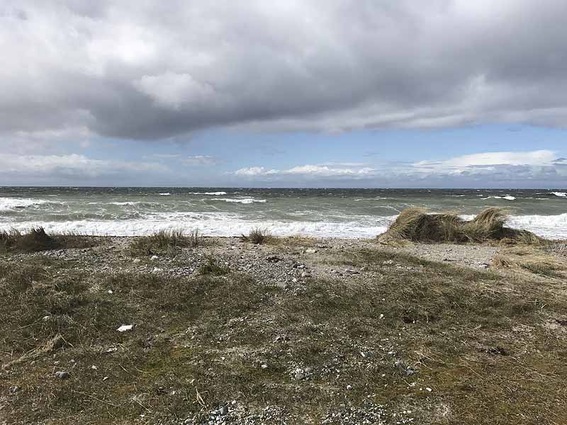 Ostseestrand bei Westermarkelsdorf (Fehmarn, Schleswig-Holstein)