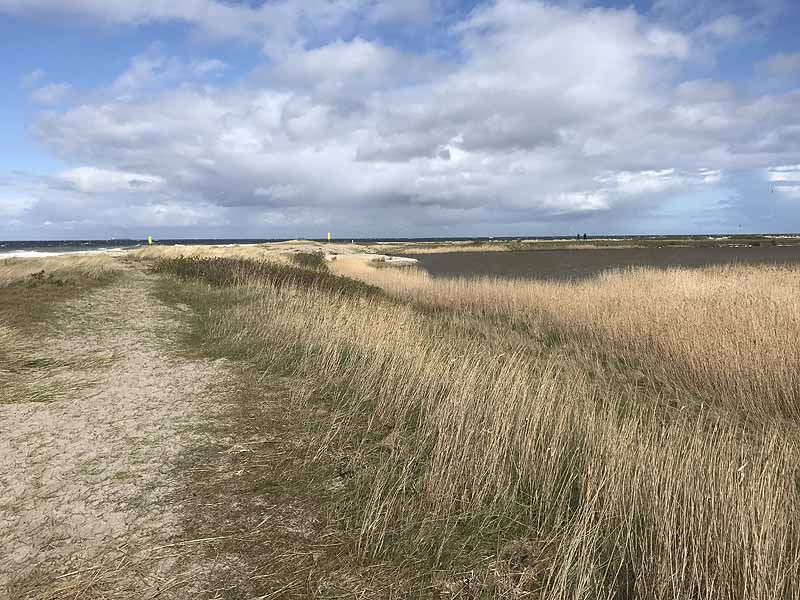Ostseestrand bei Westermarkelsdorf (Fehmarn, Schleswig-Holstein)