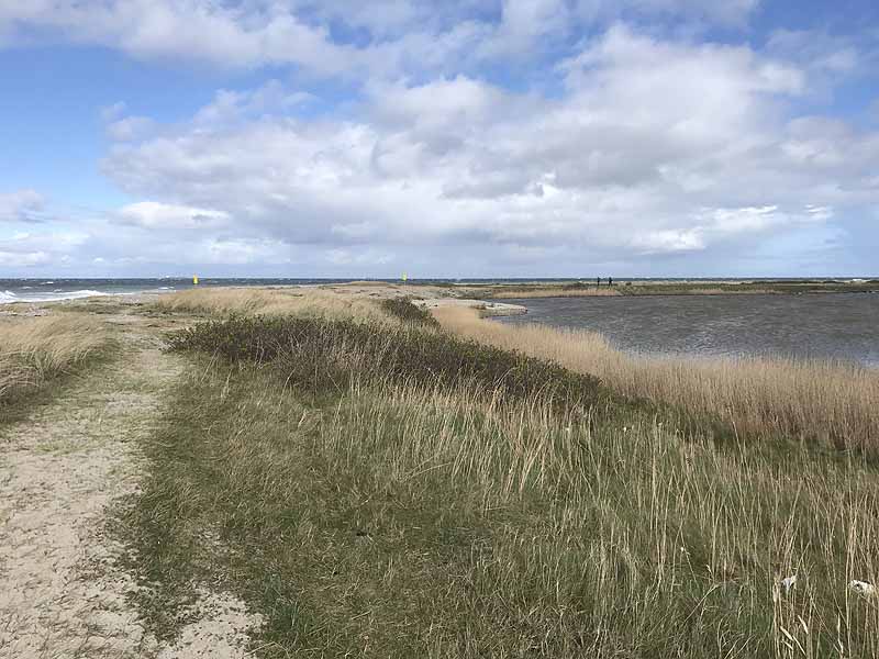 Ostseestrand bei Westermarkelsdorf (Fehmarn, Schleswig-Holstein)