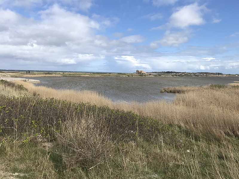 Ostseestrand bei Westermarkelsdorf (Fehmarn, Schleswig-Holstein)
