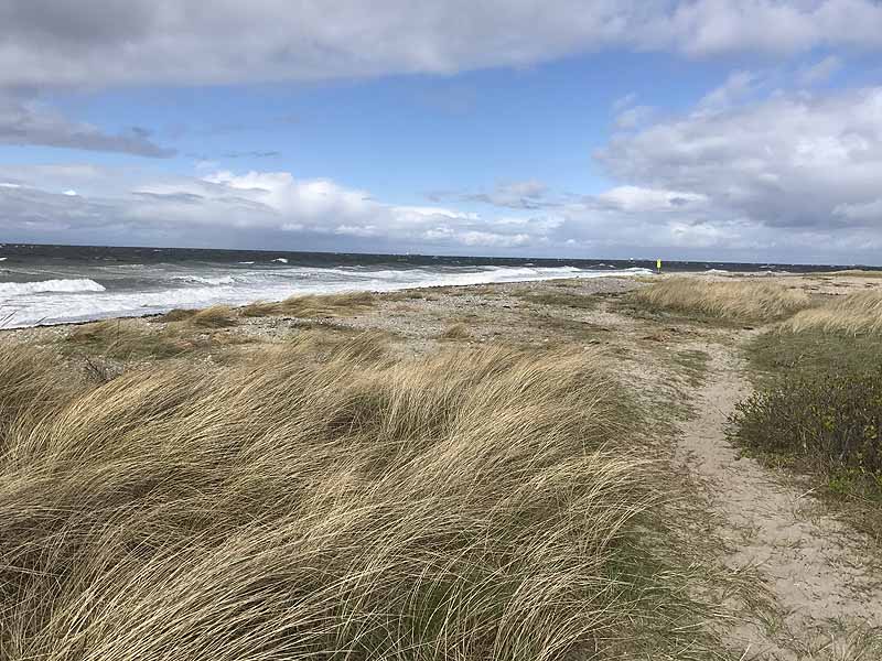 Ostseestrand bei Westermarkelsdorf (Fehmarn, Schleswig-Holstein)
