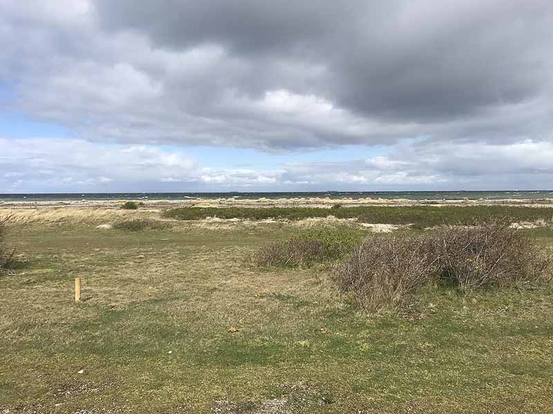 Ostseestrand bei Westermarkelsdorf (Fehmarn, Schleswig-Holstein)