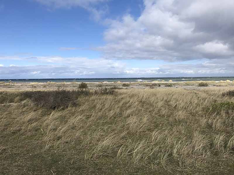 Ostseestrand bei Westermarkelsdorf (Fehmarn, Schleswig-Holstein)