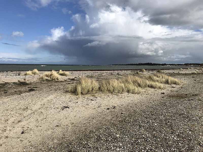 Ostseestrand bei Westermarkelsdorf (Fehmarn, Schleswig-Holstein)