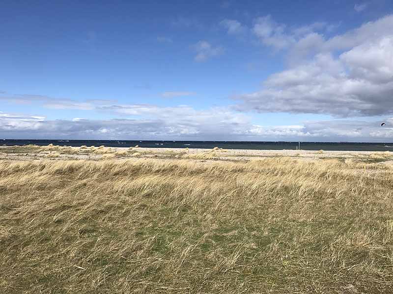 Ostseestrand bei Westermarkelsdorf (Fehmarn, Schleswig-Holstein)
