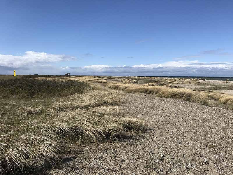 Ostseestrand bei Westermarkelsdorf (Fehmarn, Schleswig-Holstein)