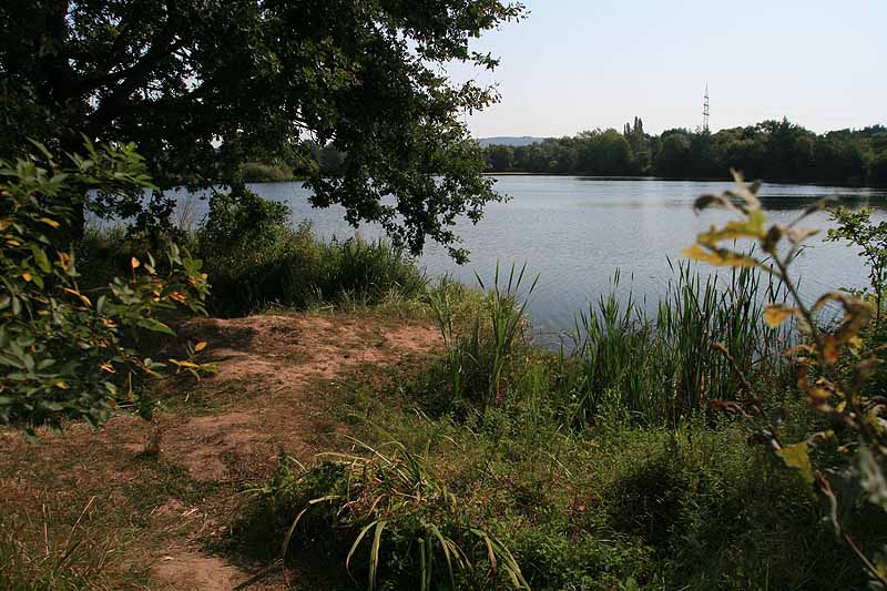 Silbersee (Wettenberg-Launsbach, Hessen)