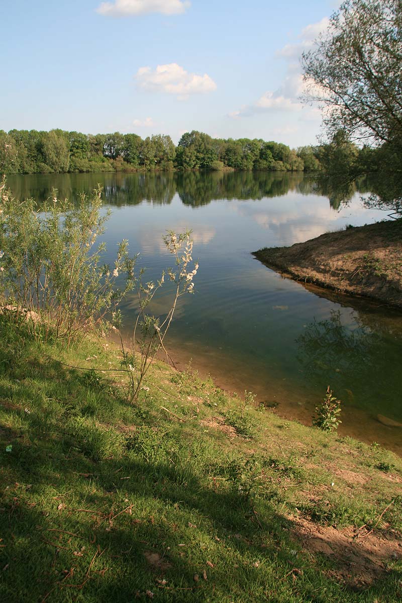 Wisseler See (Kalkar-Wissel, Nordrhein-Westfalen)