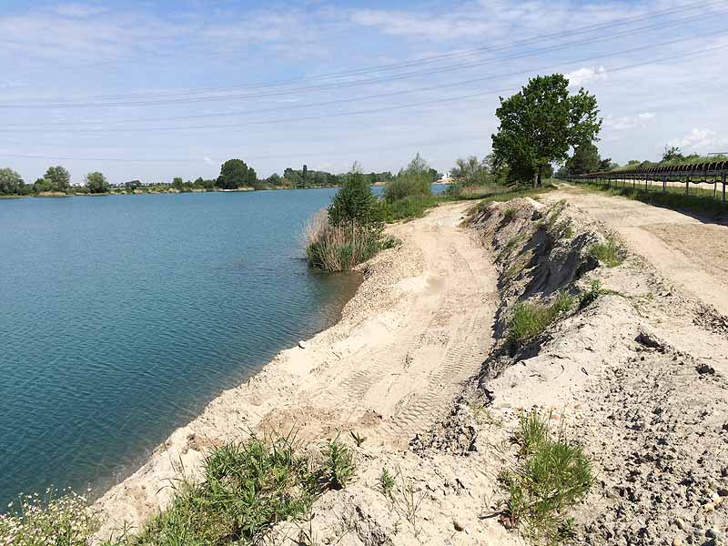 Baggersee Wittmer und Klee Wiesental (Waghäusel, Baden-Württemberg)