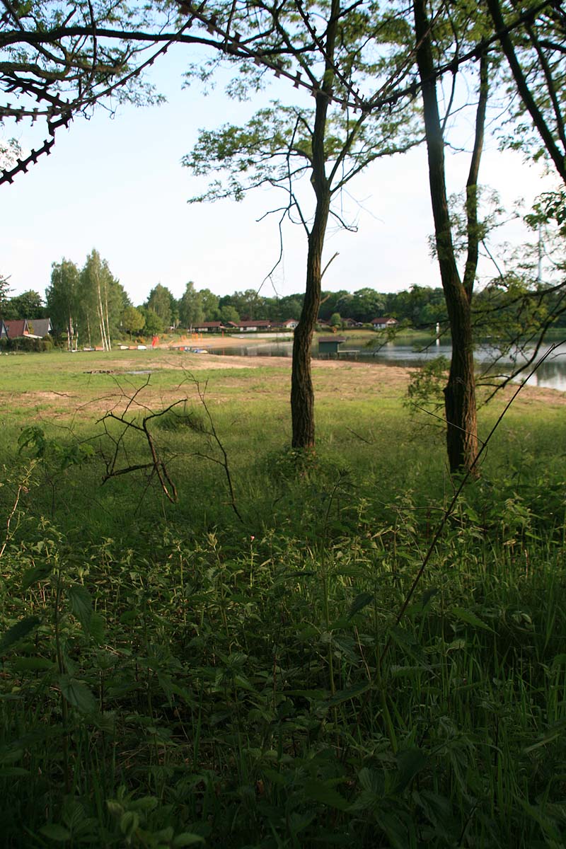 Wolfssee (Isselburg, Nordrhein-Westfalen)