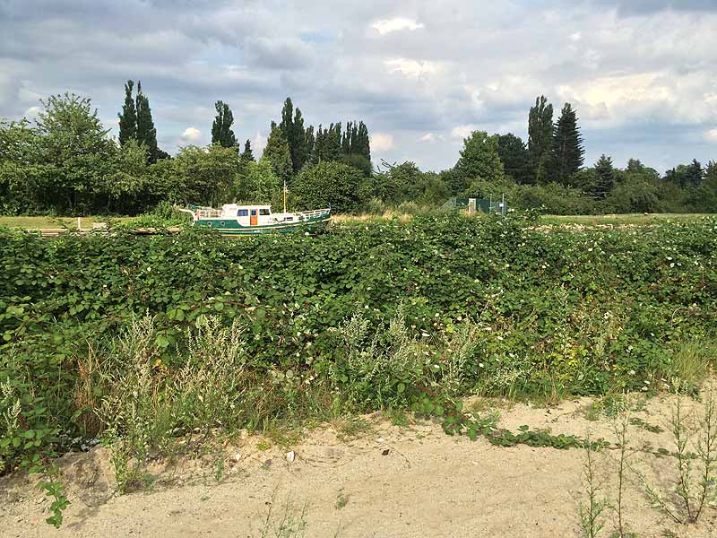 Zweigkanal Linden (Hannover, Niedersachsen)