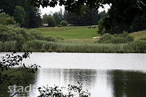 Oberer Weiher (Andechs, Bayern)