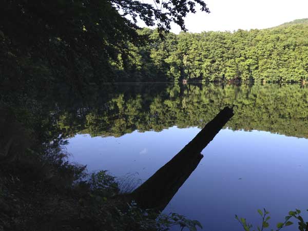 Bernshäuser Kutte (Bernshausen, Thüringen)