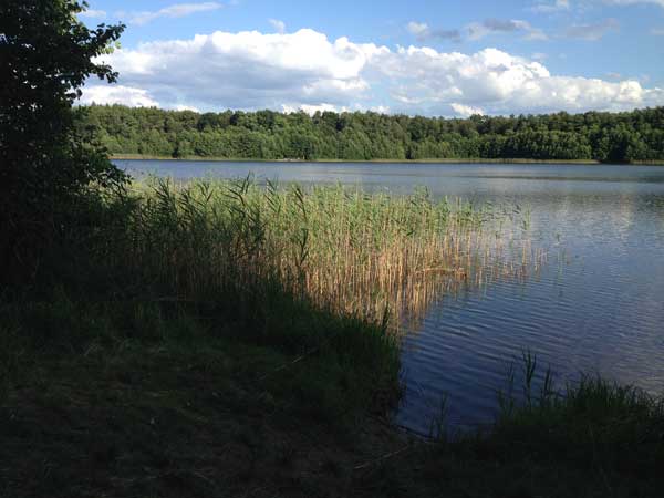 Buxinsee (Joachimsthal, Brandenburg)