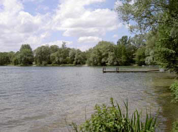 Feldmochinger See (München)