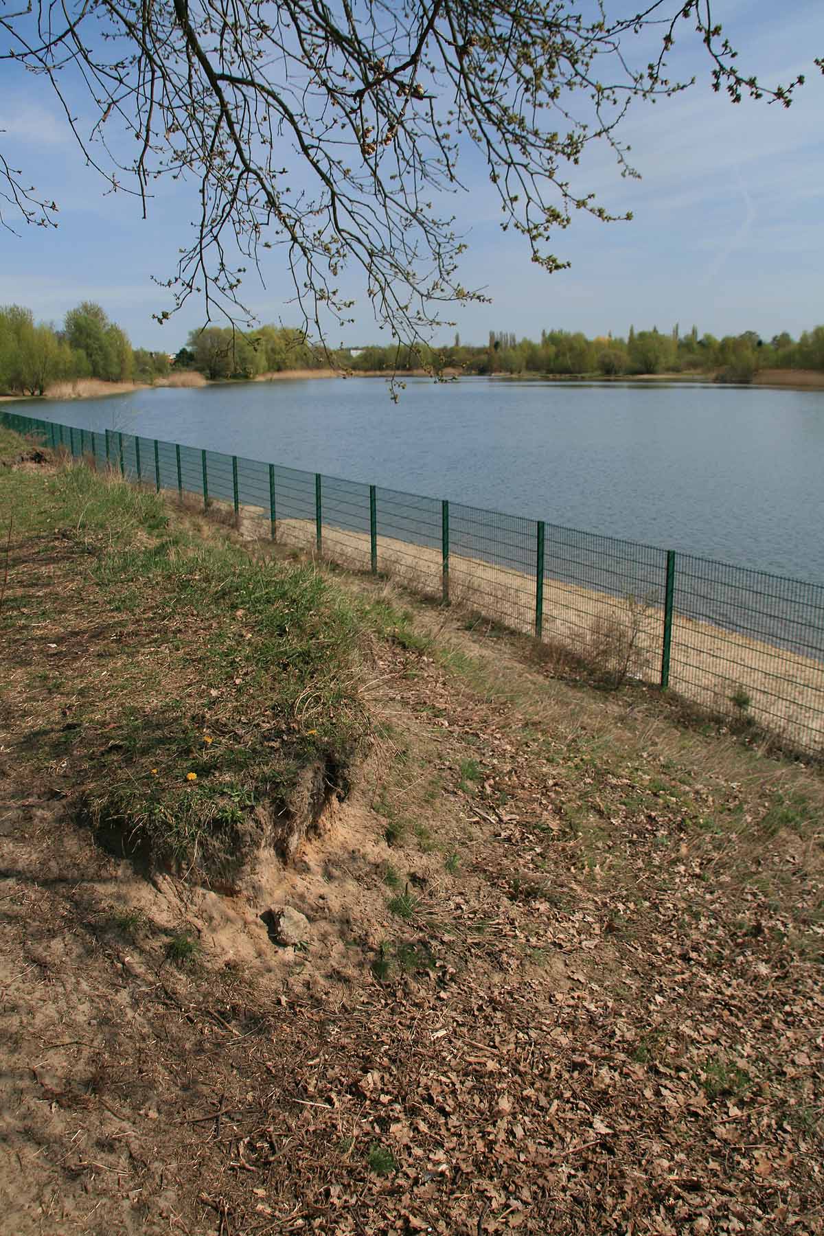 Habermannsee (Berlin)