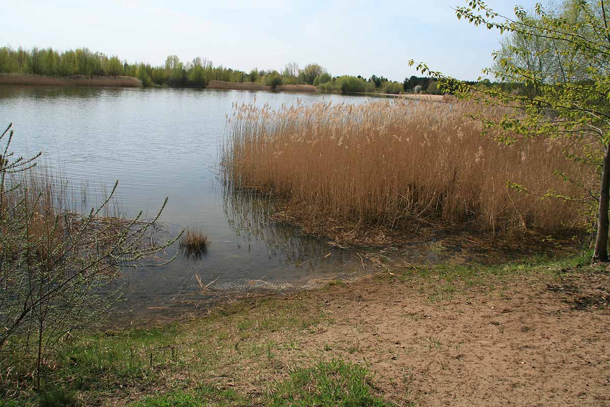 Habermannsee (Berlin)