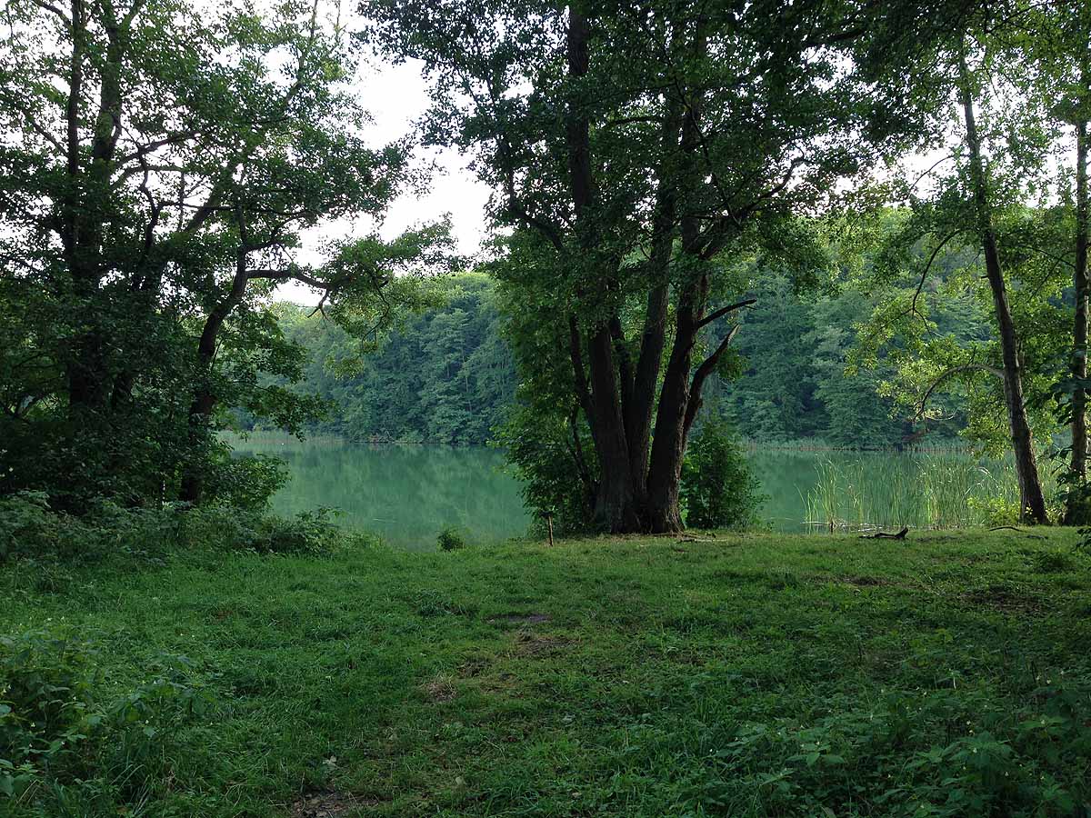 Kalksee (Binenwalde, Brandenburg)