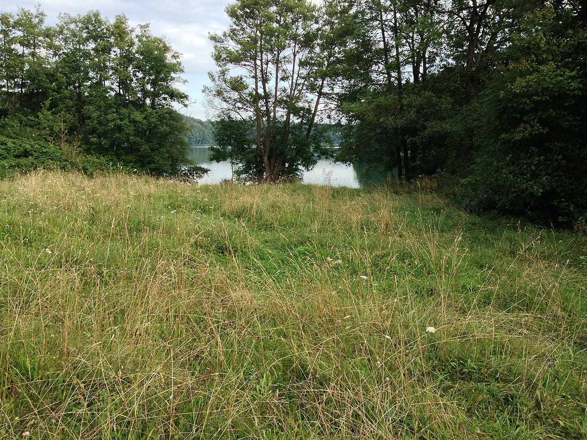 Kalksee (Binenwalde, Brandenburg)