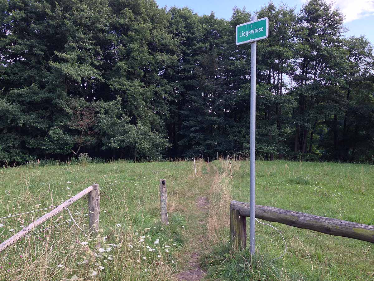 Kalksee (Binenwalde, Brandenburg)