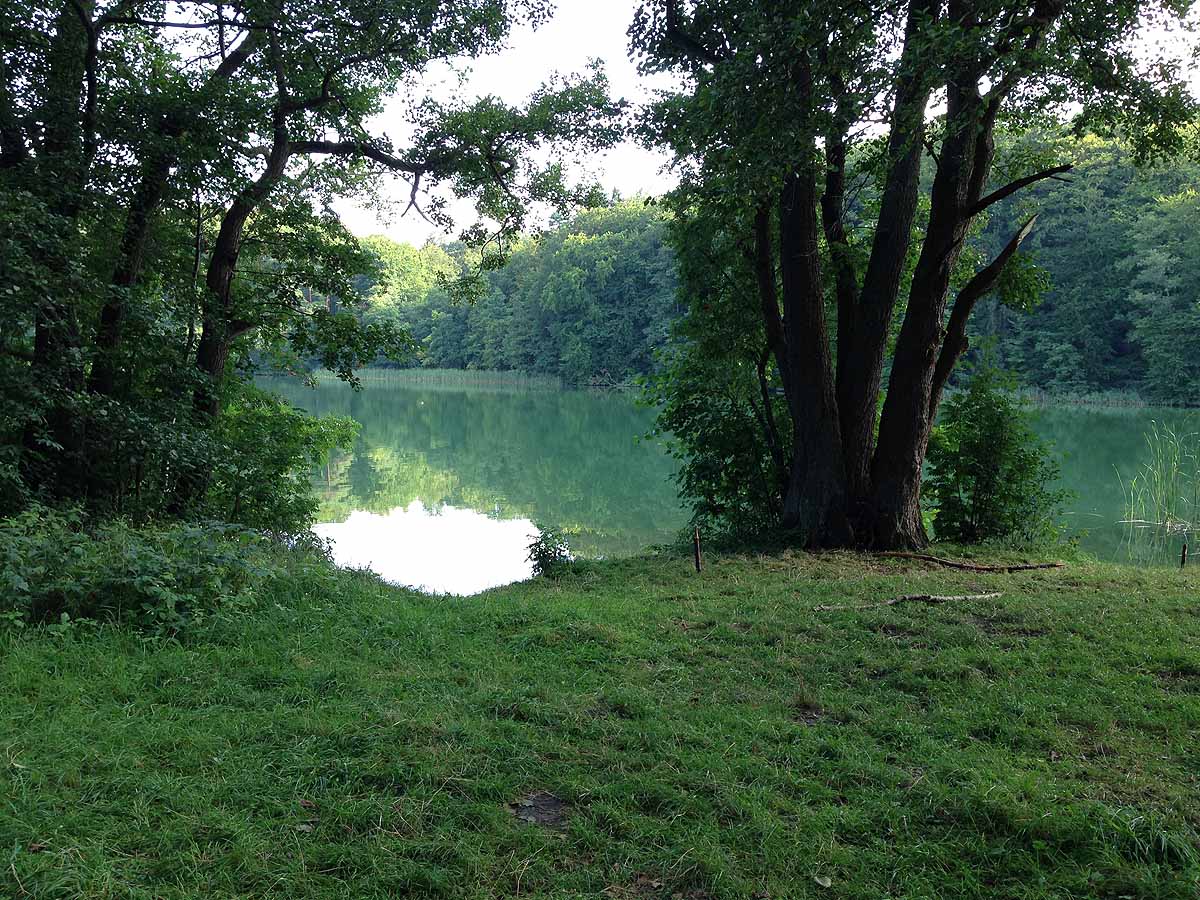 Kalksee (Binenwalde, Brandenburg)