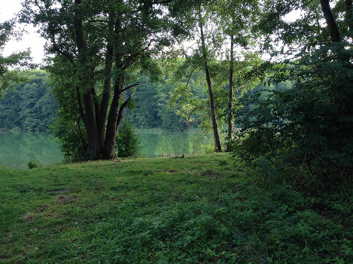 Kalksee (Binenwalde, Brandenburg)