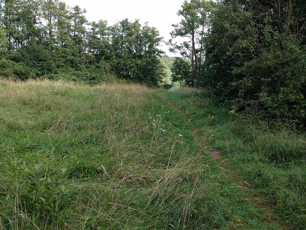Kalksee (Binenwalde, Brandenburg)