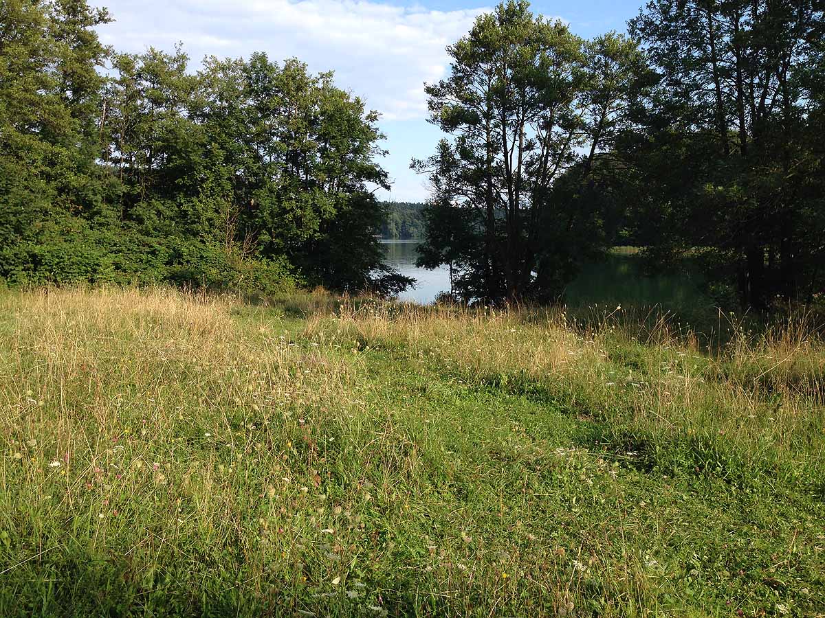 Kalksee (Binenwalde, Brandenburg)