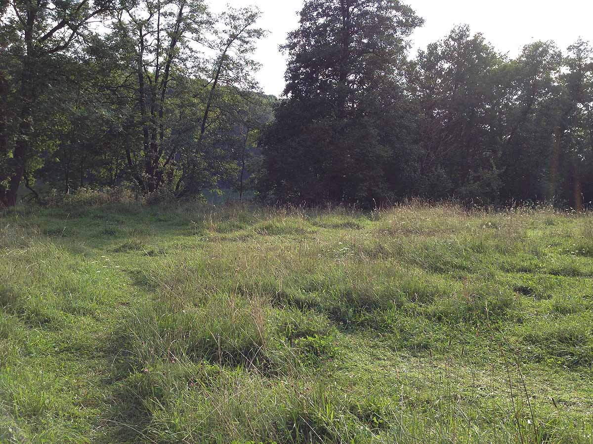 Kalksee (Binenwalde, Brandenburg)