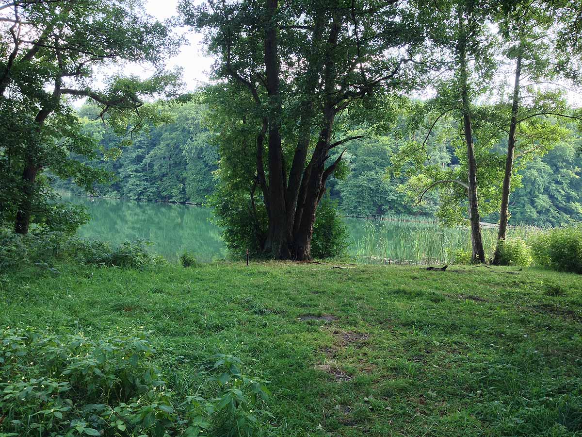 Kalksee (Binenwalde, Brandenburg)