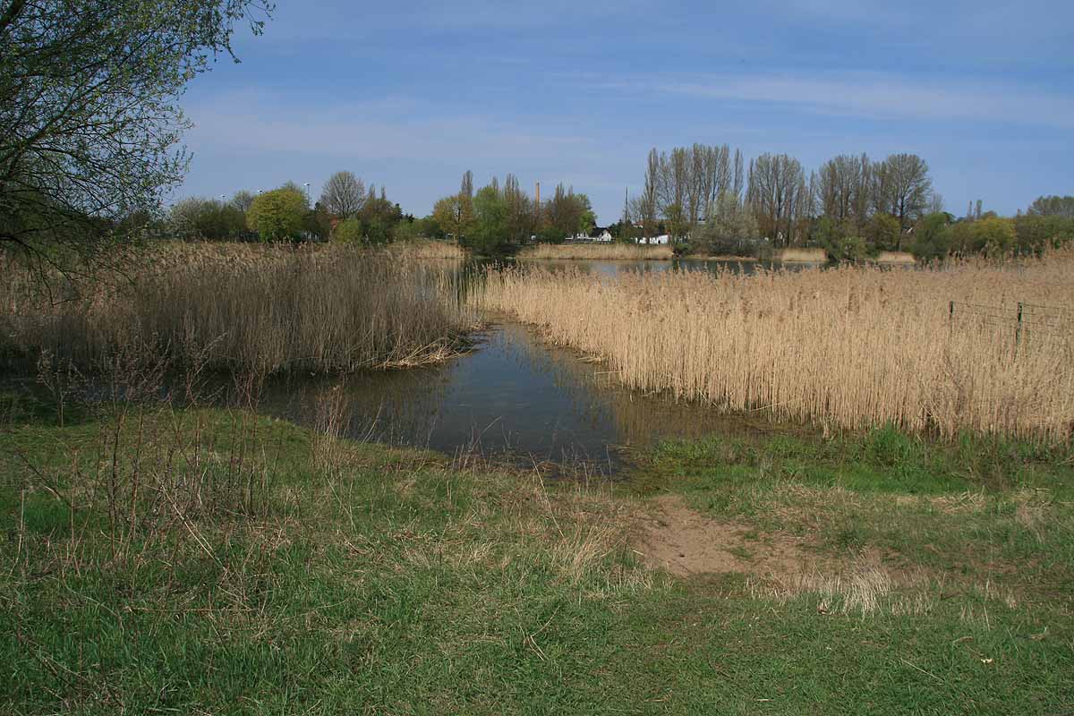 Kaulsdorfer Baggersee (Berlin)