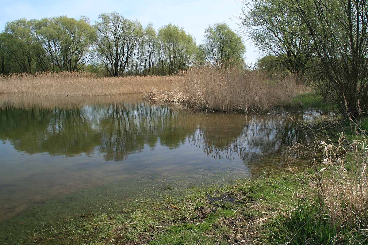 Kaulsdorfer Baggersee (Berlin)