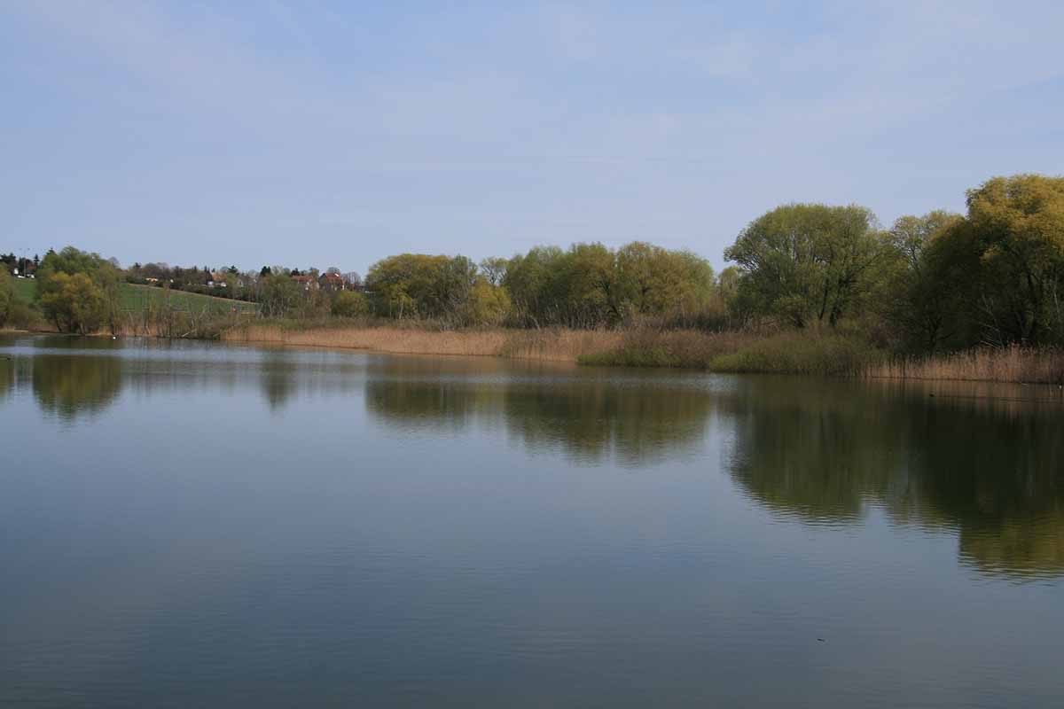 Kaulsdorfer Baggersee (Berlin)