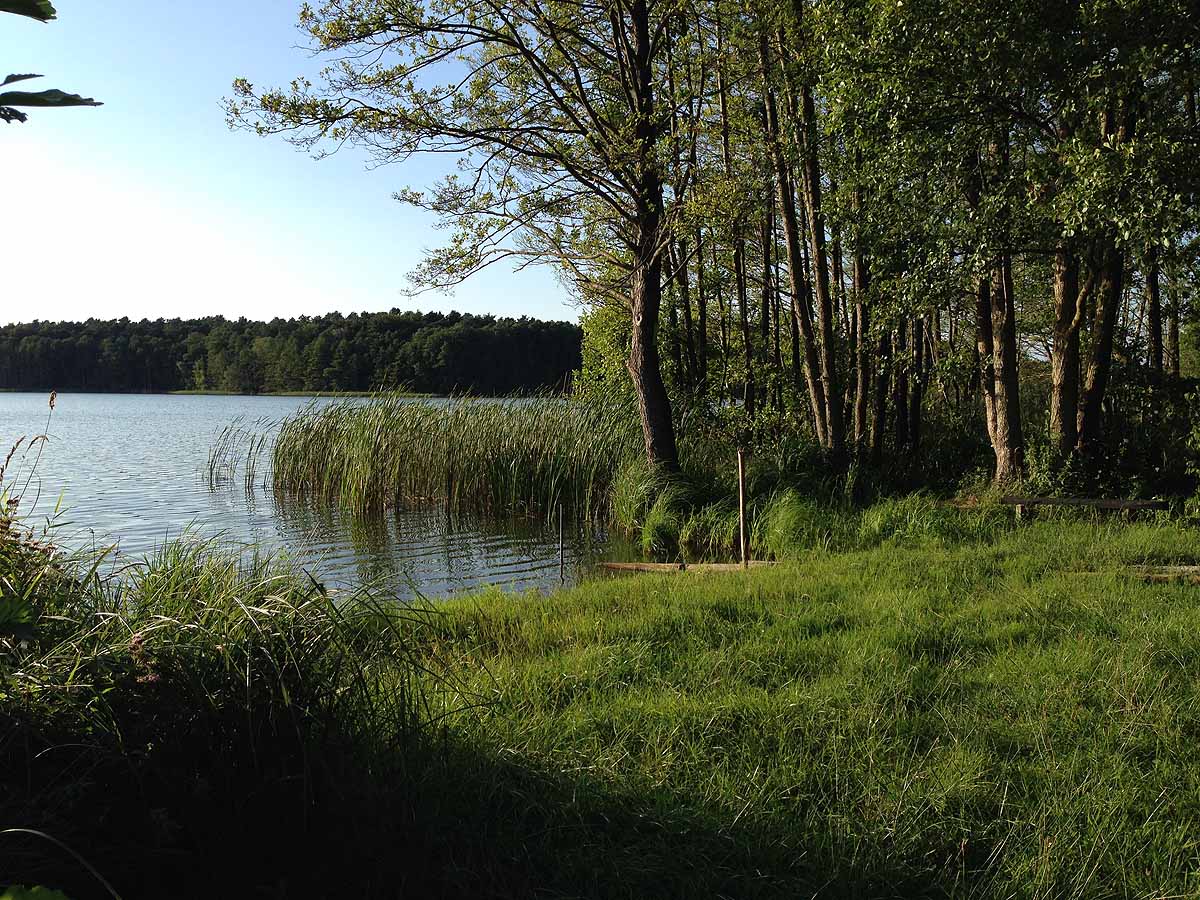 Mittelprendensee (Prenden, Brandenburg)