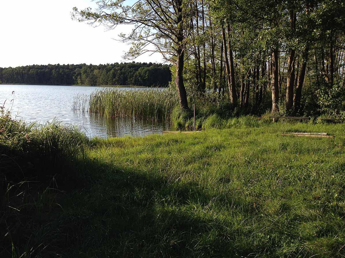 Mittelprendensee (Prenden, Brandenburg)