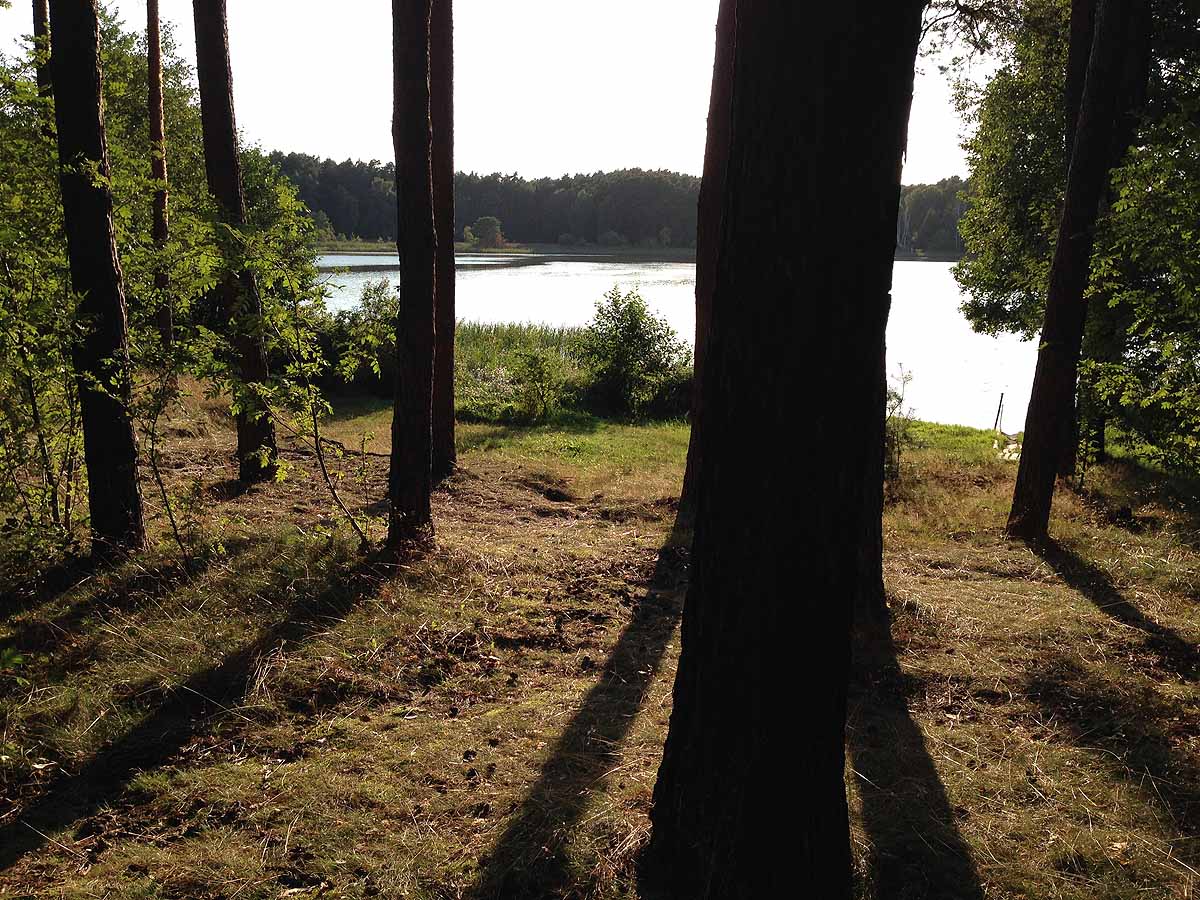 Mittelprendensee (Prenden, Brandenburg)